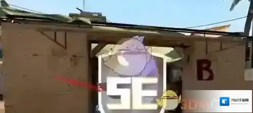 5EPlay训练营