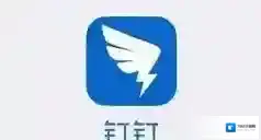 钉钉付款