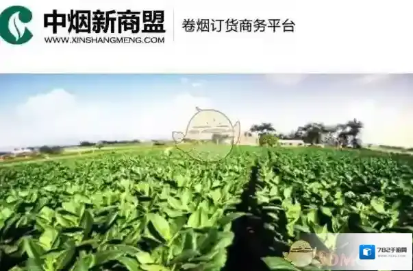 新商盟国家