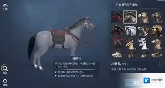 黎明之海坐骑怎么获得 黎明之海全坐骑攻略