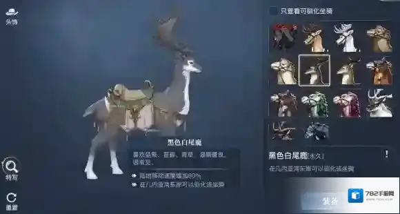 黎明之海坐骑怎么获得 黎明之海全坐骑攻略