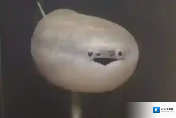 梗百科弱智