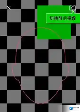 天天P图部位