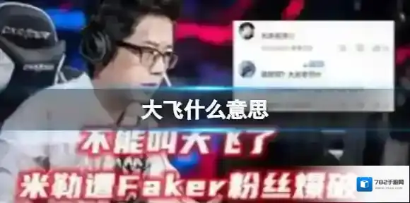 大飞什么意思 大飞是谁
