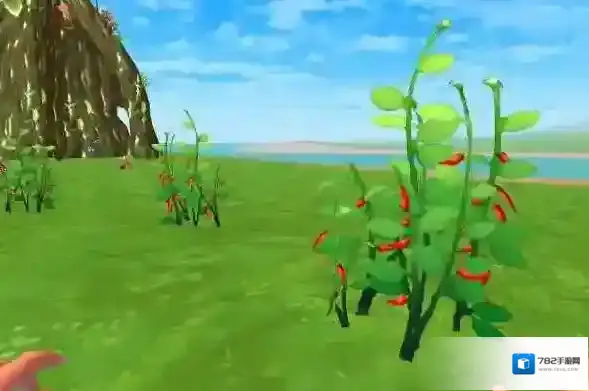 创造与魔法玩家