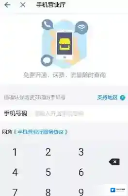 支付宝流量查询