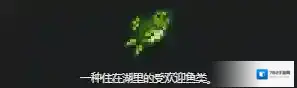 星露谷物语钓鱼