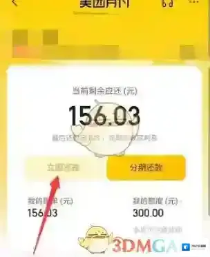 美团延期还款