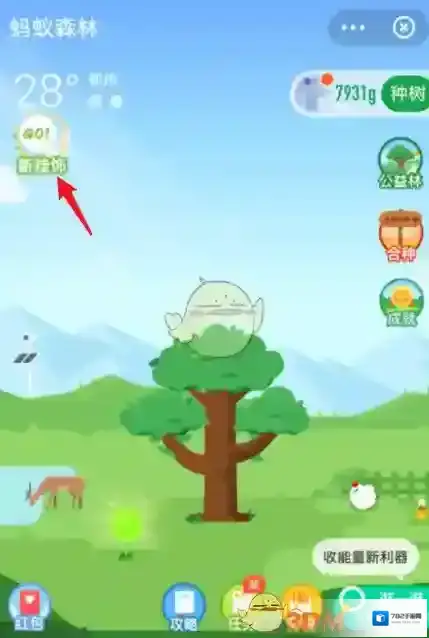 支付宝仙人掌