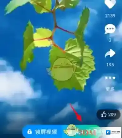 酷狗铃声选项